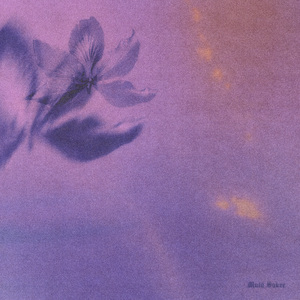 同性做爱在线免费看
